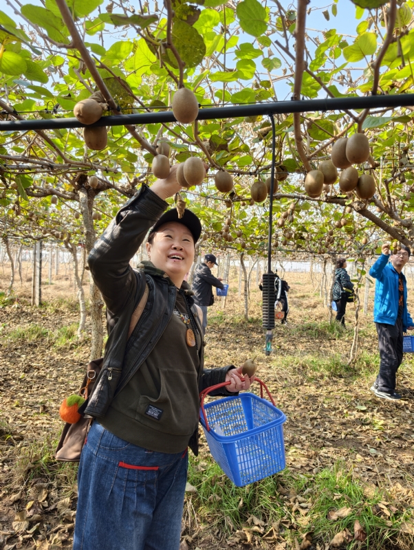 夜莺的第三张照片--山东闪婚服务中心